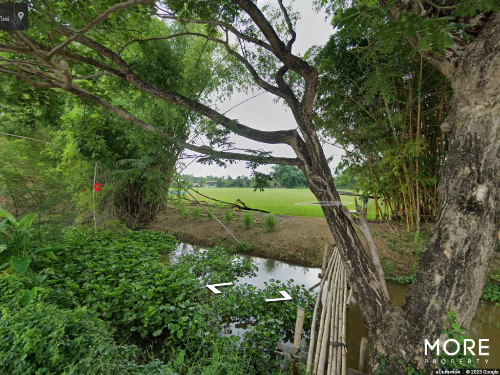 รูป ขาย ที่ดิน สันทราย เชียงใหม่ 15 ไร่ 2 งาน 72 ตร.ว.ใกล้ ที่ว่าการอำเภอสันทราย (ID:254LS)  - รูปที่ 6/10