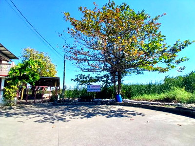 Land for sale Prawet : Land for sale Thep Thani Village, Chaloem Phrakiat Rama 9