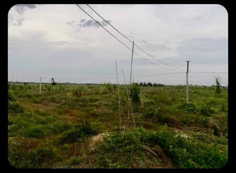 รูป (UA003)ขายที่ดิน ติดคลองชลประทาน อ.กำแพงแสน จ.นครปฐม (แปลงที่ดินติดกับไร่นาบุญ) - รูปที่ 2/4
