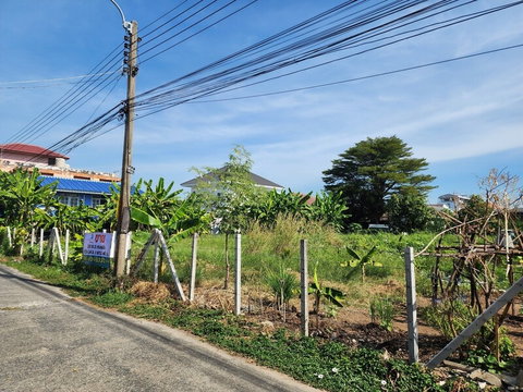 ขายที่ดินถมแล้ว ล้อมรั้วรอบ ทำการเกษตร 336 ตรว. ลำลูกกา ปทุมธานี ที่สวยคุ้ม