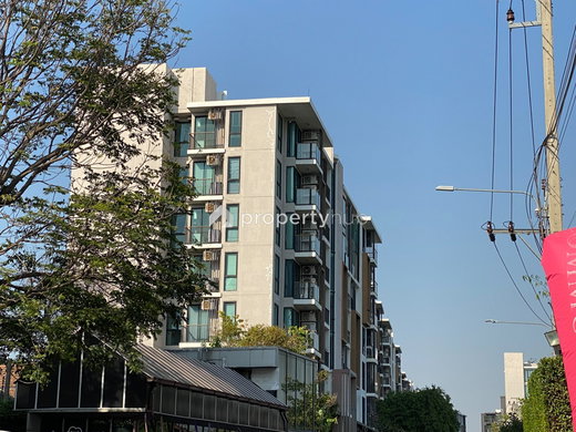 รูป Zelle Rattanathibet 2 - รูปที่ 1/10