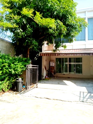 ขายทาวน์โฮม : ขายทาวน์เฮ้าส์ Baan Klang Muang S-Sense Onnut - Wongwan บ้านกลางเมือง เอสเซ้นส์ อ่อนนุช - วงแหวน    หลังหัวมุม