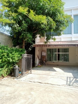 ขายทาวน์เฮ้าส์ Baan Klang Muang S-Sense Onnut - Wongwan บ้านกลางเมือง เอสเซ้นส์ อ่อนนุช - วงแหวน    หลังหัวมุม
