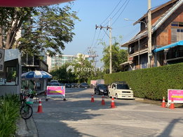 รูป Zelle Rattanathibet 2 - รูปที่ 5/10