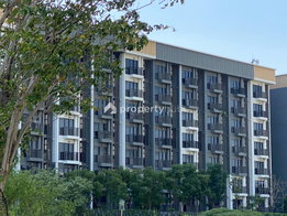 Project The Politan Breeze Picture - 2/19