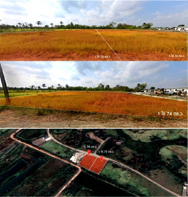 ที่ดิน วิทยาลัยการอาชีพกาญจนาภิเษกหนองจอก : Land for sale in Nong Chok  ขายที่ดิน หนองจอก ทำเลทอง สุวินทวงศ์ 51 เนื้อที่ 2 ไร่ ถมแล้ว  ขายที่ดินหนองจอก 2 ไร่ ถมแล้ว