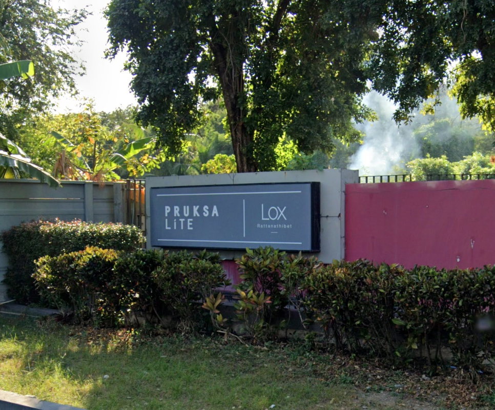 Project Flora Lightox Picture - 2/2