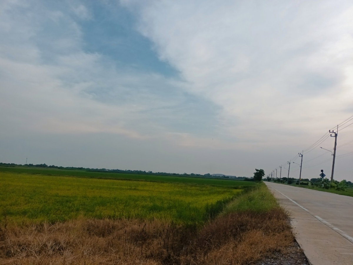 ูขายที่ดินหนองเพรางาย 30 ไร่ ใกล้วัดไทรใหญ่  ยกแปลง 100ไร่ได้