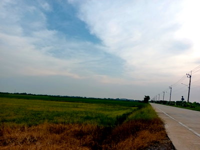 Land for sale : For Sale: 30 Rai of Land in Nong Pra Ngai, Near Wat Sai Yai  The entire 100 Rai plot is available for sale.