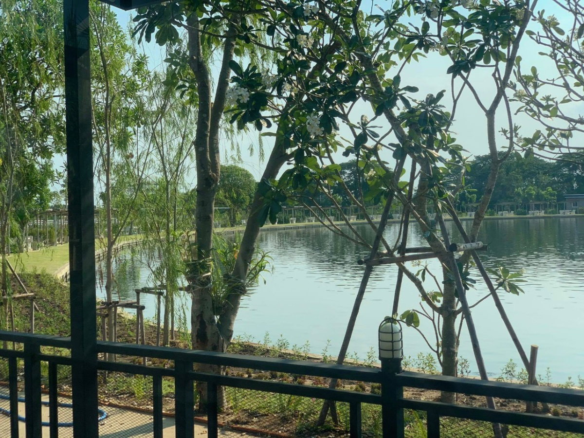รูป ขายที่ดินพร้อมกิจการติดริมแม่น้ำ ลำลูกกาคลอง 11 ต.ลำไทร ปทุมธานี  พื้นที่25 ไร่, 1 งาน, 3.2 ตร.ว. - รูปที่ 4/14