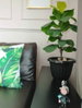 listing thumbnail image 3