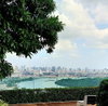 listing thumbnail image 11