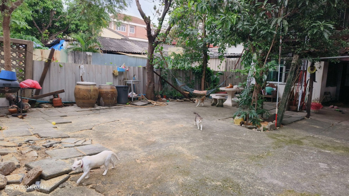 รูป ขายบ้านถนนลาดพร้าว41 ใกล้รถไฟฟ้าสายสีเหลือง - รูปที่ 5/23