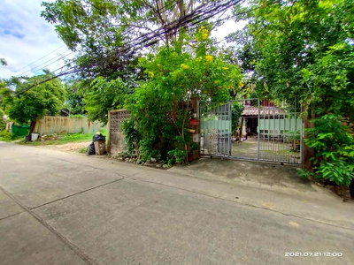 ขายบ้านเดี่ยว : ขายบ้านถนนลาดพร้าว41 ใกล้รถไฟฟ้าสายสีเหลือง