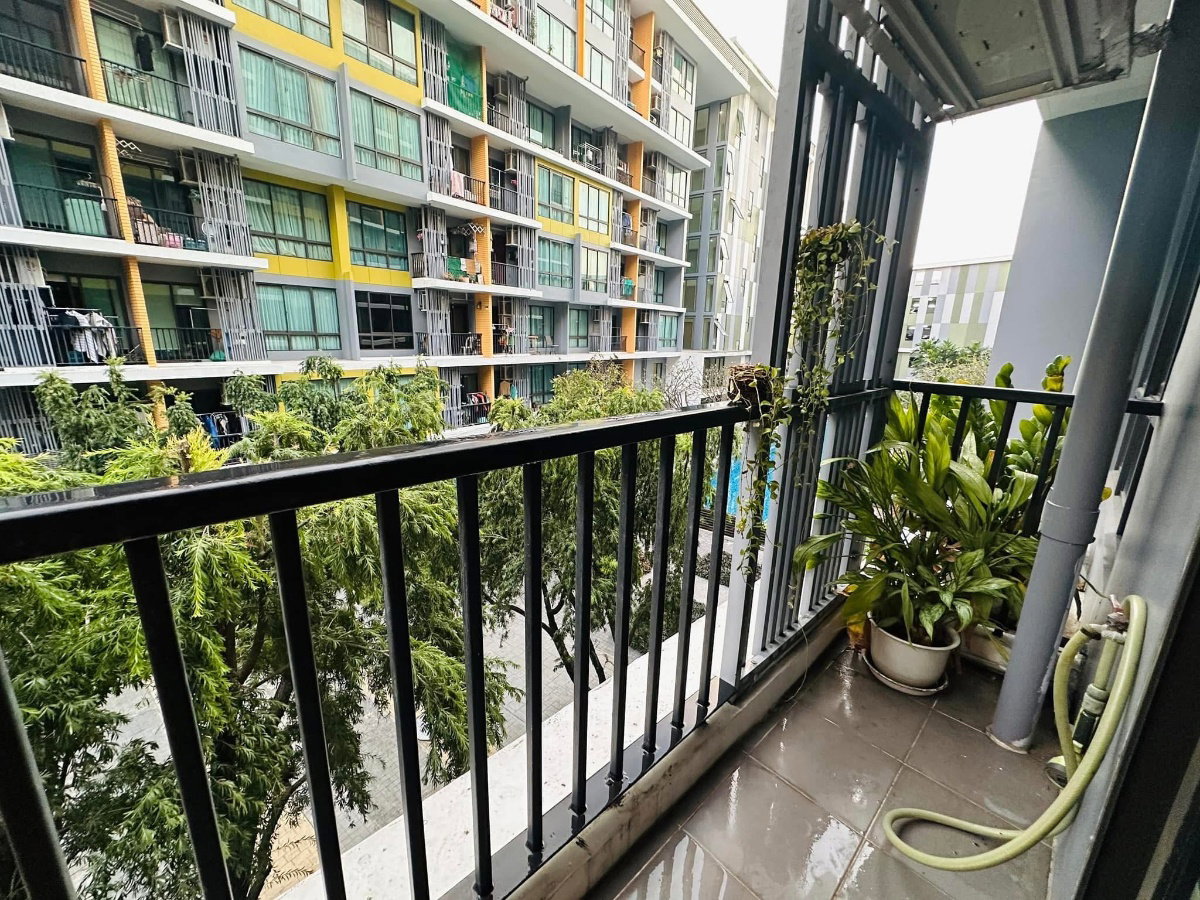 picture #R2355 For rent  iCondo Sukhumvit 103 - 12/12