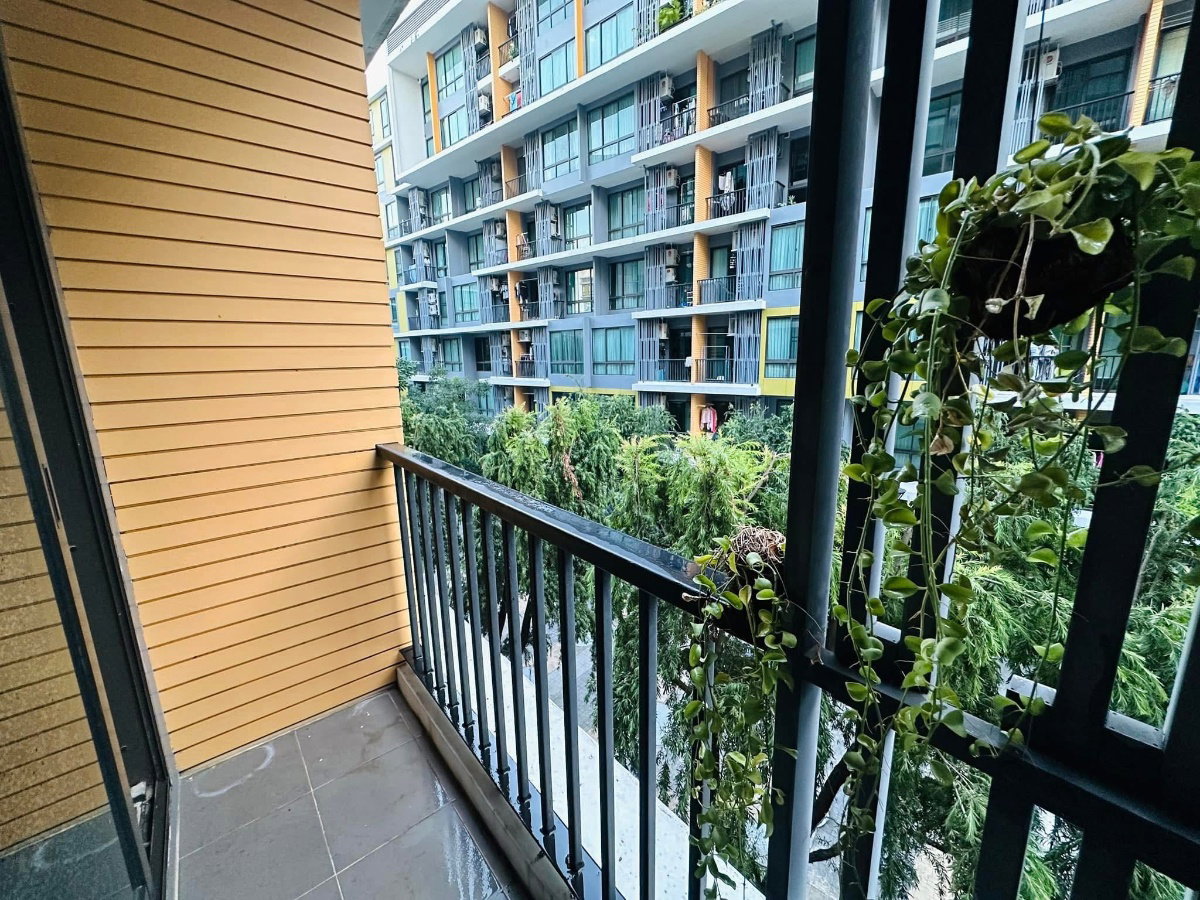 picture #R2355 For rent  iCondo Sukhumvit 103 - 11/12