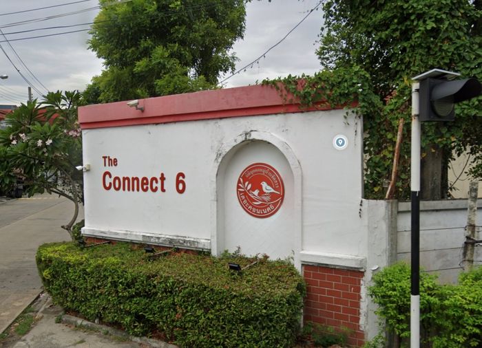 เดอะคอนเนค 6