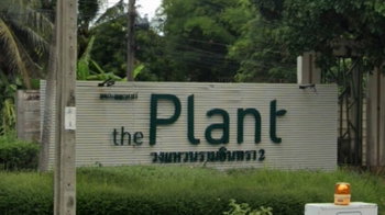 รูป The Plant Wongwaen - Ramintra 2 - รูปที่ 2/4