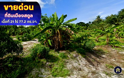 Land for sale Satun : sale of land in Khlong Khut, Satun Province, area 21 rai 77.2 sq.wa. Selling for only 1.5 million baht per rai.