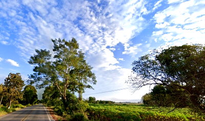 ที่ดิน ดรีมเวิลด์ : ขายที่ดินเปล่าทำเลดี ต.สถาน อ.เชียงของ จ.เชียงราย เนื้อที่ 24-1-34 ไร่ ผังสีม่วงโซนเดียวในย่านนั้น เหมาะทำโรงงาน คลังสินค้า ศูนย์กระจายสินค้า