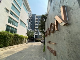 รูป AROON - รูปที่ 5/15