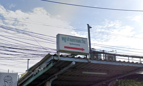 ทานตะวัน