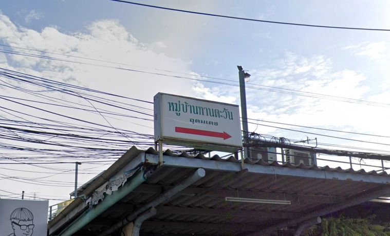 ทานตะวัน