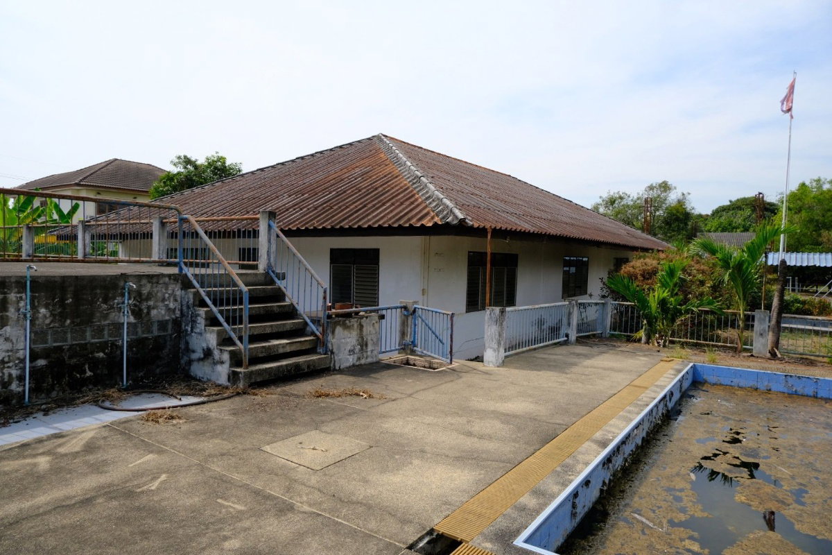 รูป ขายที่ดิน 16 ไร่ พร้อมสิ่งปลูกสร้างเป็นอาคารโรงเรียนชั้นเดียว อ.หนองเสือ คลอง 11 ปทุมธานี - รูปที่ 8/15