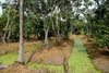 listing thumbnail image 10