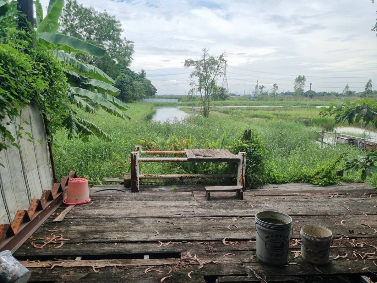 รูป ขายที่ดินพร้อมอาคาร เนื้อที่ 8 ไร่ อ.วังน้อย จ.พระนครศรีอยุธยา - รูปที่ 7/15