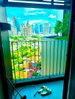 listing thumbnail image 4