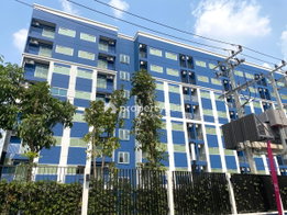 Project Plum Condo Chaengwattana - Donmueang Picture - 4/19