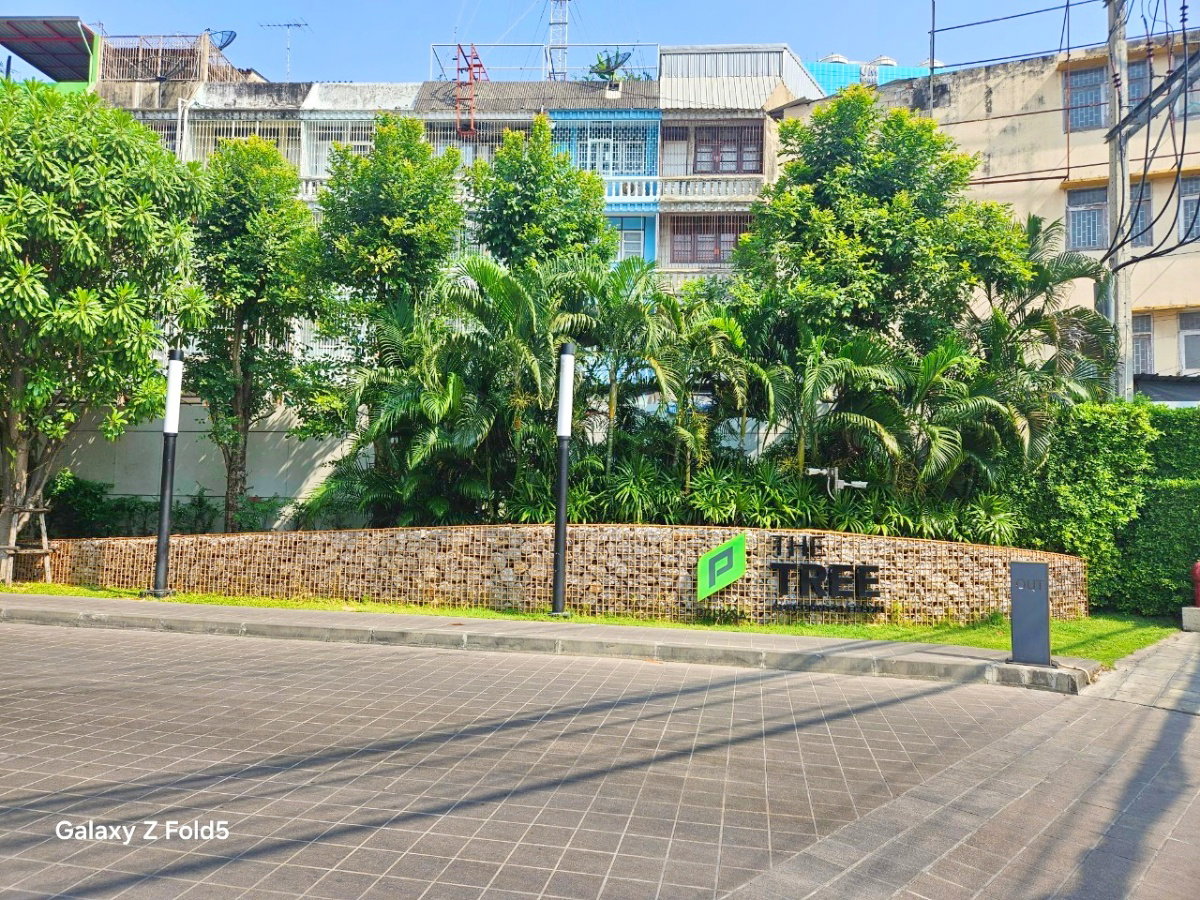 รูป ขายคอนโด The Tree สุขุมวิท 71 – เอกมัย 1 ห้องนอน พร้อมอยู่ วิวสวย - รูปที่ 12/35