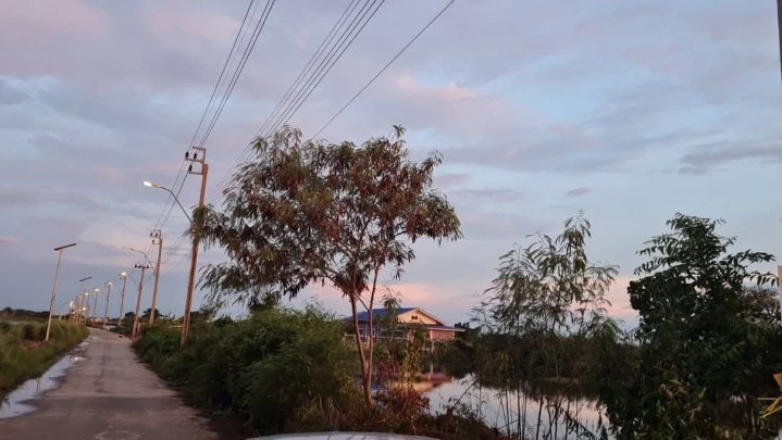 รูป ที่ดินบางบ่อใกล้วัดป่าสุขใจ เนื้อที่4-2-50ไร่ - รูปที่ 4/7
