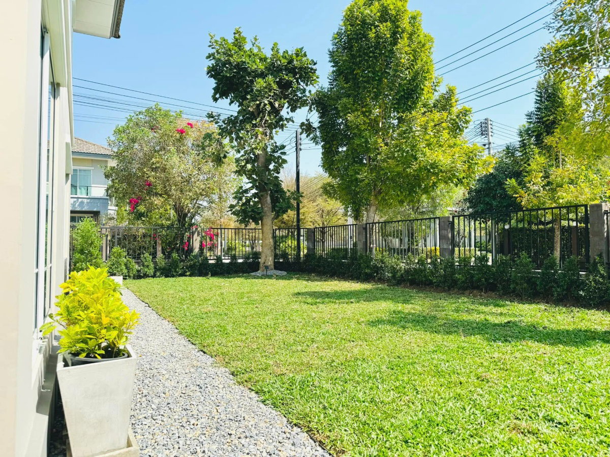 picture house for rent, corner plot, has a lawn, fully furnished, San Kamphaeng zone. (RW006016) - 20/30