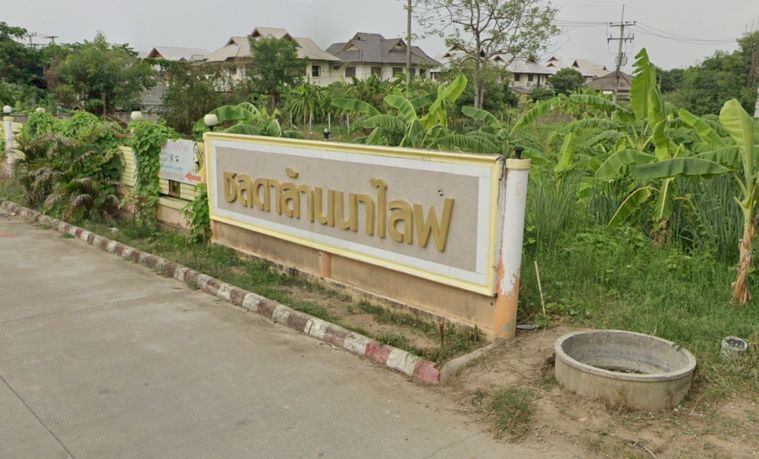ชลดา ล้านนาไลฟ์
