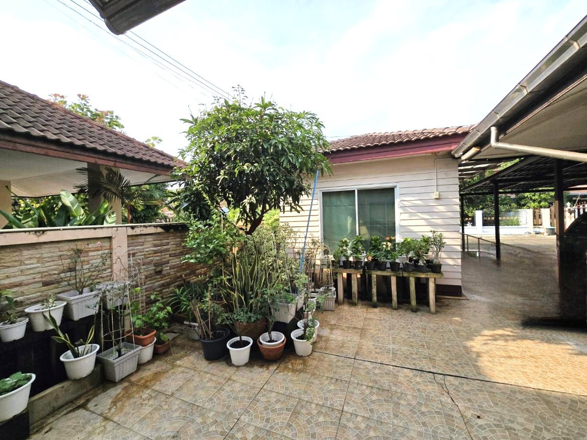 รูป ขายบ้านด่วน!!!  4 ห้องนอน 5 ห้องน้ำ 2 ห้องครัว ห้องรับแขก หน้าบ้านทิศเหนือ - รูปที่ 8/11