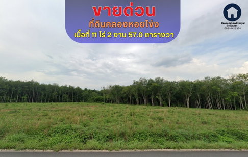 sale, beautiful plot of land, Khlong Hoi Khong, area 11 rai 2 ngan 57 sq.wa, selling for only 9 million baht