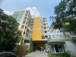 Project Citrine Picture - 3/6