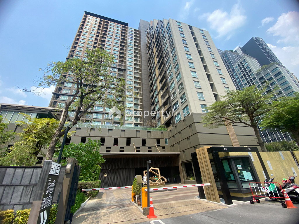 Project Hive Taksin Picture - 1/15