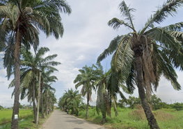 รูป Supalai Grand Lake - รูปที่ 4/4