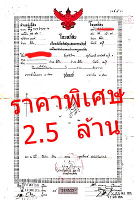 Land for sale Chonburi : Land for sale in Sattahip, Soi Sukhumvit 23 (Wat Tao Than)