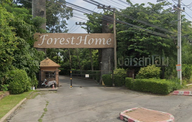 Project Forest Home Picture - 1/1