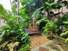 listing thumbnail image 50