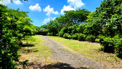 Land for sale : For Sale: 19 rai of land in Kok Klang, Prathai, Nakhon Ratchasima, near the Thammachak Dam and the Satak River. Selling at a very low price!