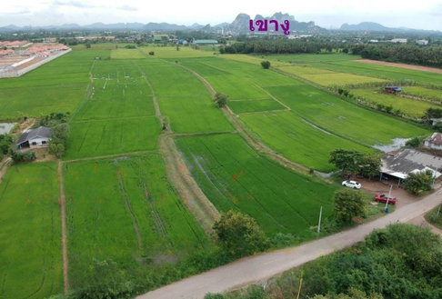 ขายที่ดิน 20 ไร่ อำเภอเมือง จังหวัดราชบุรี