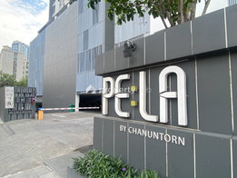 รูป Pela Wutthakat - รูปที่ 5/11