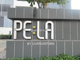 รูป Pela Wutthakat - รูปที่ 4/11