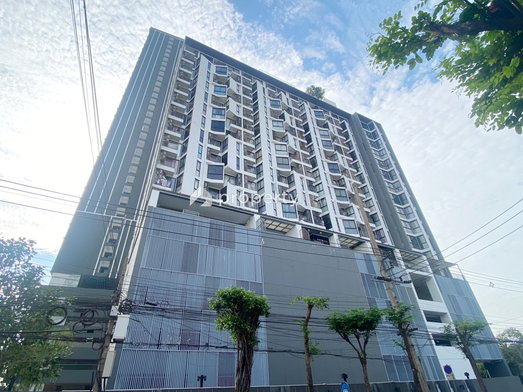 รูป Pela Wutthakat - รูปที่ 2/11