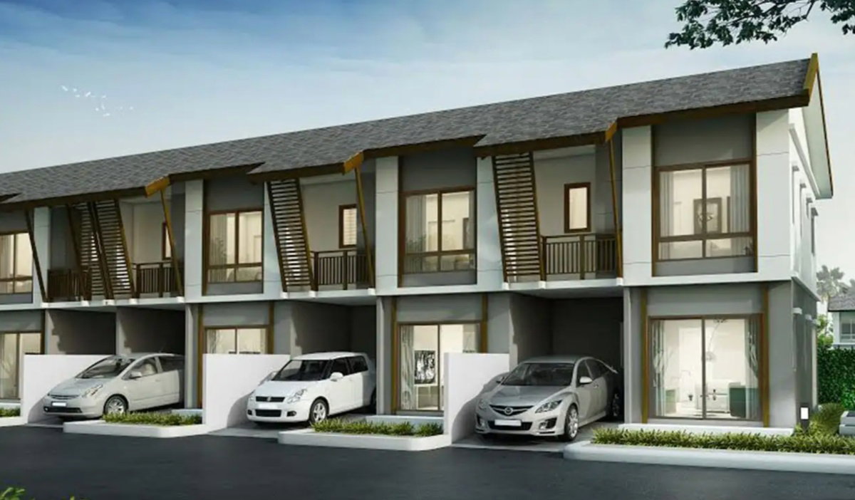 รูปภาพPinus A